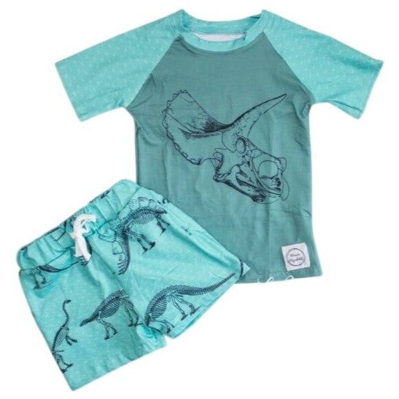 Boys Dinosaur Bones Milk Silk 2-Piece Set 3-6 Months - Picture 1 of 1